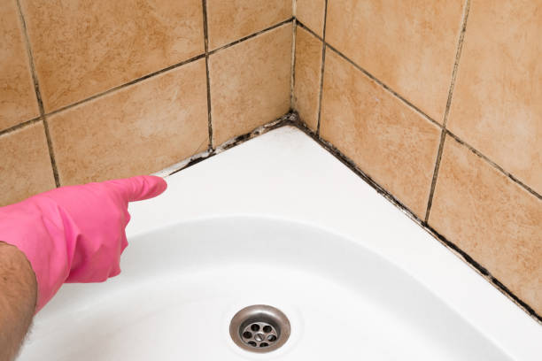 Best Residential Mold Removal  in Laurel, DE